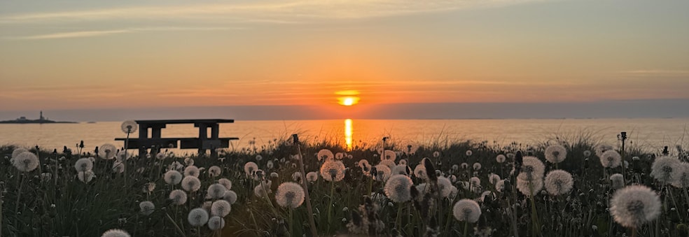 Sesongens kåringer
